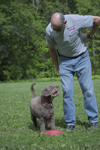 20250524_Dog Park__DSC0091_.jpg