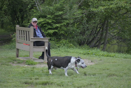 20250524_Dog Park__DSC0147_.jpg