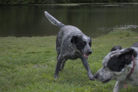 20250524_Dog Park__DSC0166_.jpg
