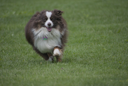 20250524_Dog Park__DSC0198_.jpg