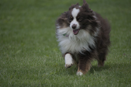 20250524_Dog Park__DSC0200_.jpg