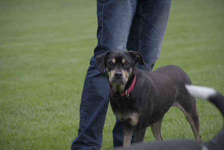 20250524_Dog Park__DSC0245_.jpg