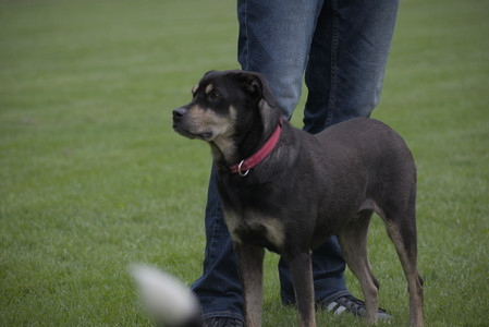 20250524_Dog Park__DSC0247_.jpg