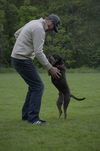 20250524_Dog Park__DSC0262_.jpg