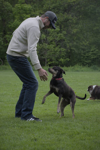 20250524_Dog Park__DSC0264_.jpg