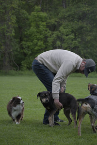 20250524_Dog Park__DSC0267_.jpg