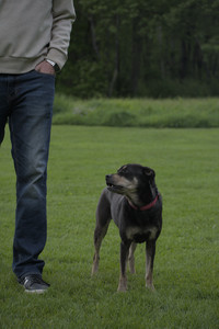 20250524_Dog Park__DSC0270_.jpg