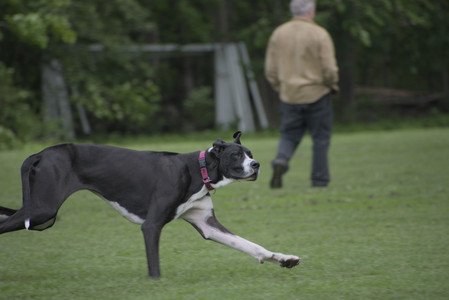 20250524_Dog Park__DSC0337_.jpg