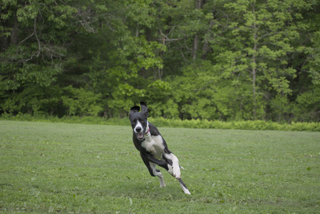 20250524_Dog Park__DSC0392_.jpg