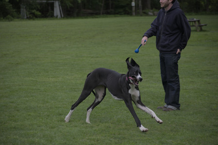 20250524_Dog Park__DSC0588_.jpg