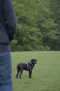 20250524_Dog Park__DSC0599_.jpg