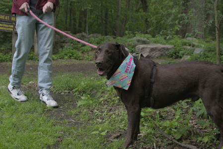 20250525_Dog park with chunky who tries chuck it__DSC0036_.jpg