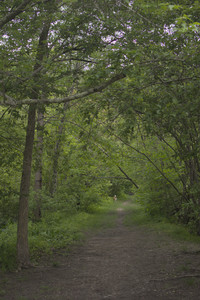 20250525_Dog park with chunky who tries chuck it__DSC0053_.jpg