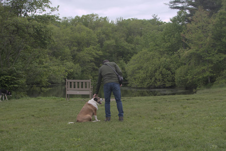 20250525_Dog park with chunky who tries chuck it__DSC0063_.jpg