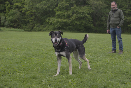 20250525_Dog park with chunky who tries chuck it__DSC0123_.jpg