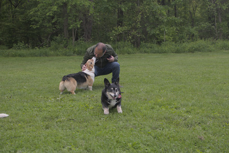 20250525_Dog park with chunky who tries chuck it__DSC0158_.jpg