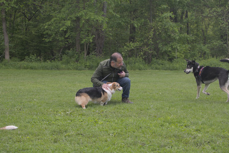 20250525_Dog park with chunky who tries chuck it__DSC0160_.jpg
