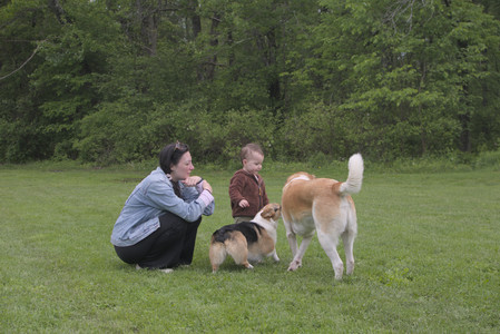 20250525_Dog park with chunky who tries chuck it__DSC0162_.jpg