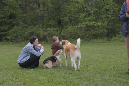 20250525_Dog park with chunky who tries chuck it__DSC0163_.jpg