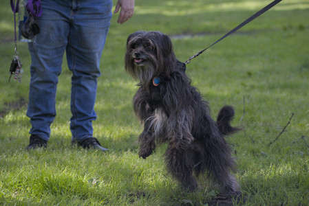 20250526_Cemetary and Hawk and Dog Park__DSC0163_.jpg