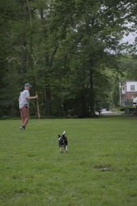 20250531_Flowers and Dog Park__DSC0064_.jpg