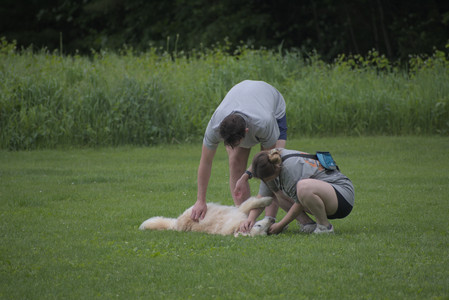 20250531_Flowers and Dog Park__DSC0065_.jpg