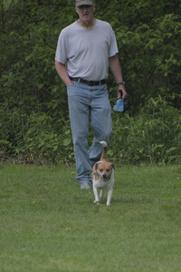 20250531_Flowers and Dog Park__DSC0082_.jpg