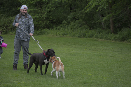 20250531_Flowers and Dog Park__DSC0092_.jpg