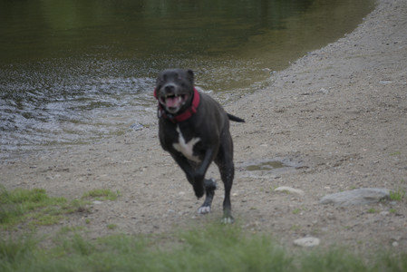 20250531_Flowers and Dog Park__DSC0109_.jpg