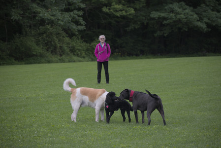 20250531_Flowers and Dog Park__DSC0223_.jpg