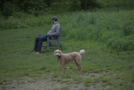 20250531_Flowers and Dog Park__DSC0281_.jpg