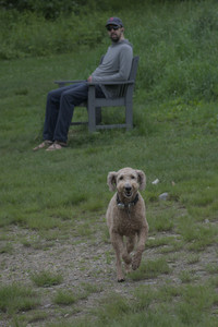 20250531_Flowers and Dog Park__DSC0284_.jpg