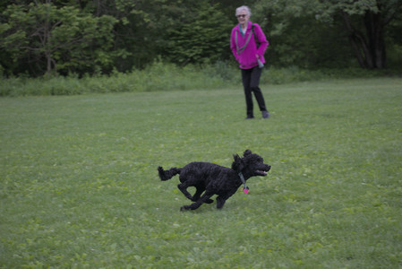 20250531_Flowers and Dog Park__DSC0338_.jpg