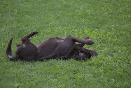 20250531_Flowers and Dog Park__DSC0416_.jpg