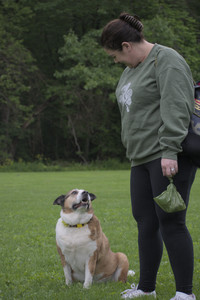 20250531_Flowers and Dog Park__DSC0524_.jpg