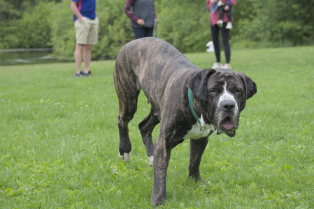 20250601_Dog park and flowers and birds__DSC0131_.jpg