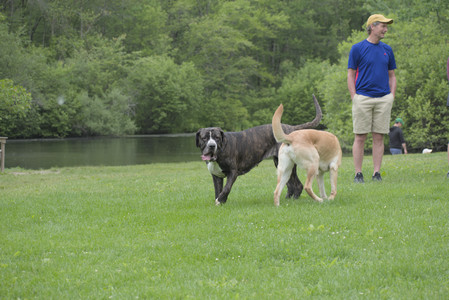 20250601_Dog park and flowers and birds__DSC0138_.jpg