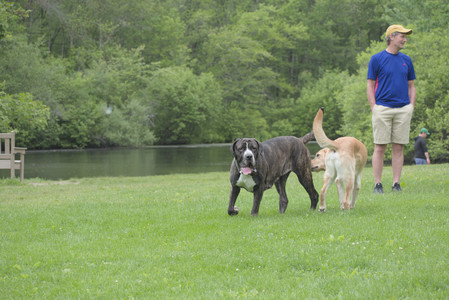 20250601_Dog park and flowers and birds__DSC0140_.jpg