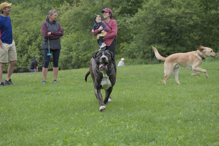 20250601_Dog park and flowers and birds__DSC0145_.jpg