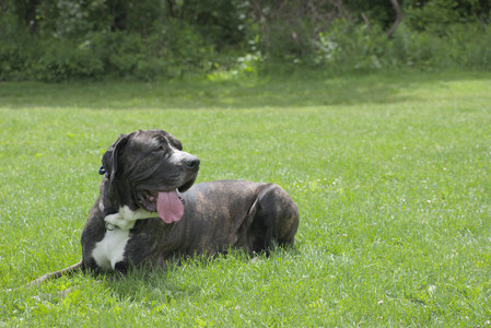 20250601_Dog park and flowers and birds__DSC0190_.jpg