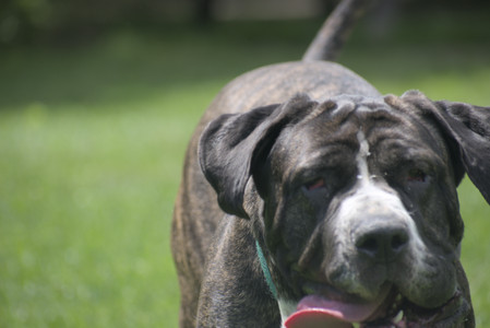 20250601_Dog park and flowers and birds__DSC0233_.jpg