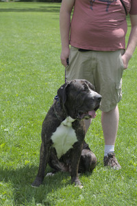 20250601_Dog park and flowers and birds__DSC0234_.jpg