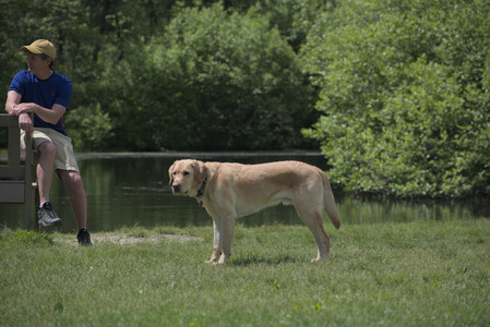 20250601_Dog park and flowers and birds__DSC0249_.jpg
