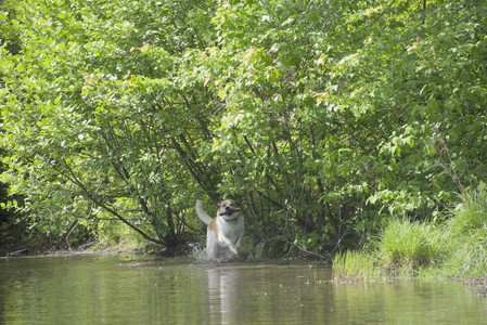 20250601_Dog park and flowers and birds__DSC0284_.jpg