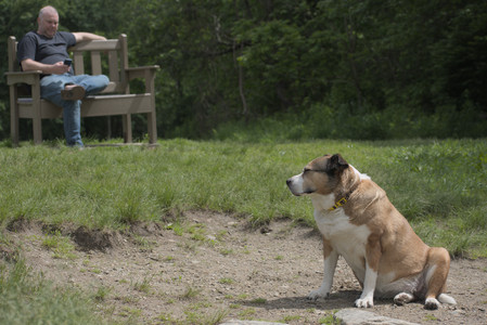 20250601_Dog park and flowers and birds__DSC0315_.jpg