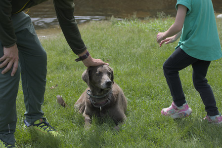 20250601_Dog park and flowers and birds__DSC0371_.jpg