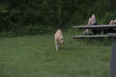 20250601_Dog park and flowers and birds__DSC0395_.jpg