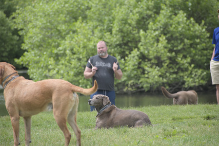 20250601_Dog park and flowers and birds__DSC0431_.jpg