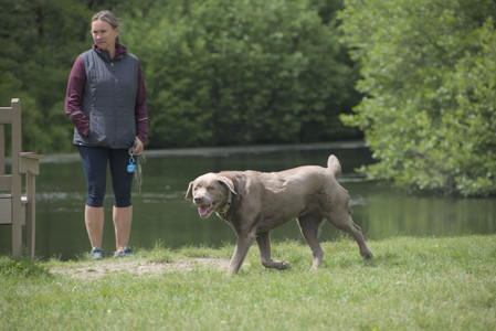 20250601_Dog park and flowers and birds__DSC0439_.jpg