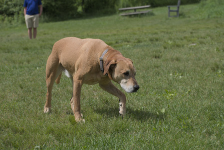 20250601_Dog park and flowers and birds__DSC0472_.jpg